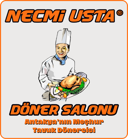 necmi-usta-logo.png